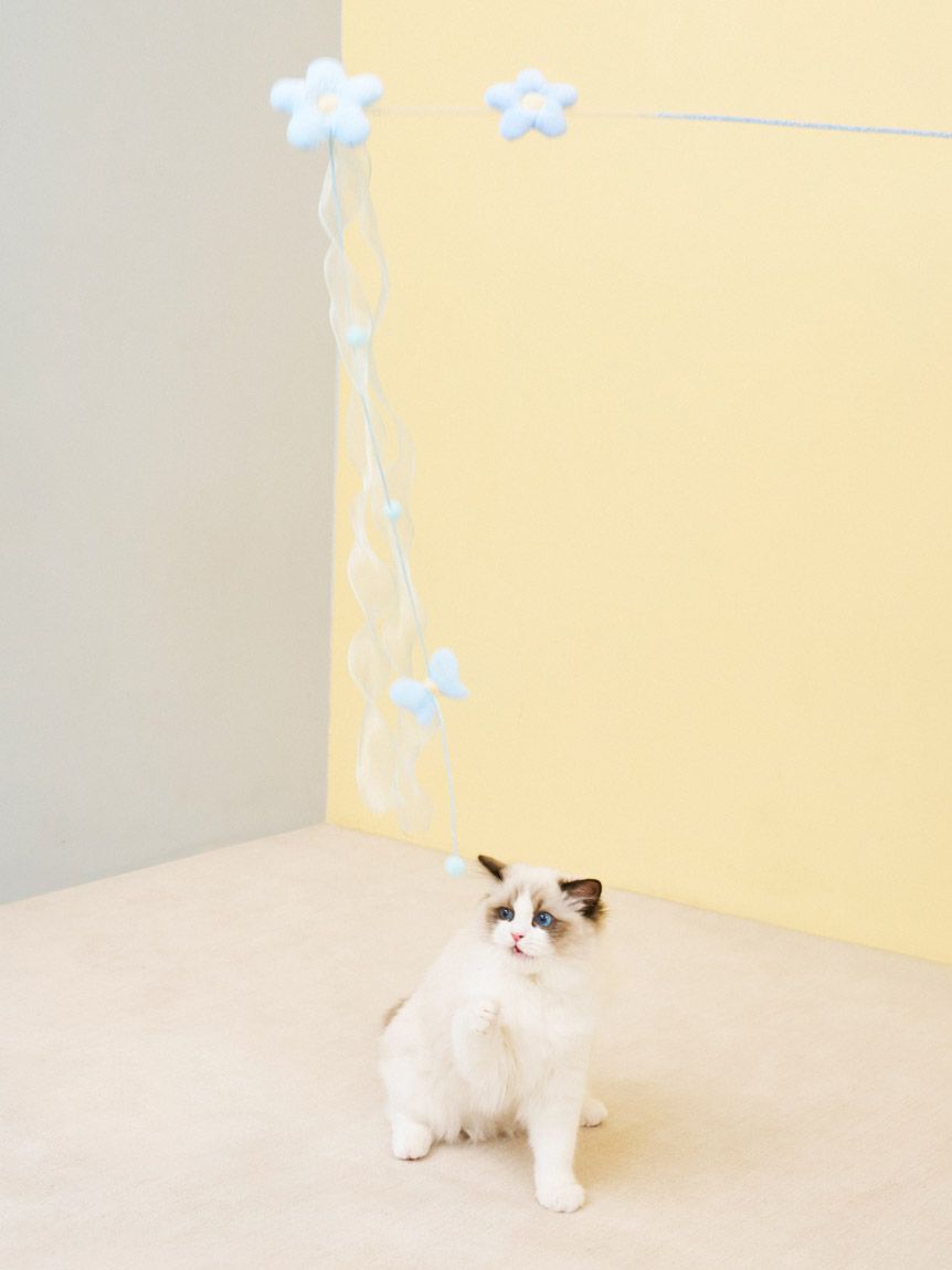  GELATO PIQUE CAT&DOG「【CAT&DOG】フラワーモチーフねこじゃらし」|その他|