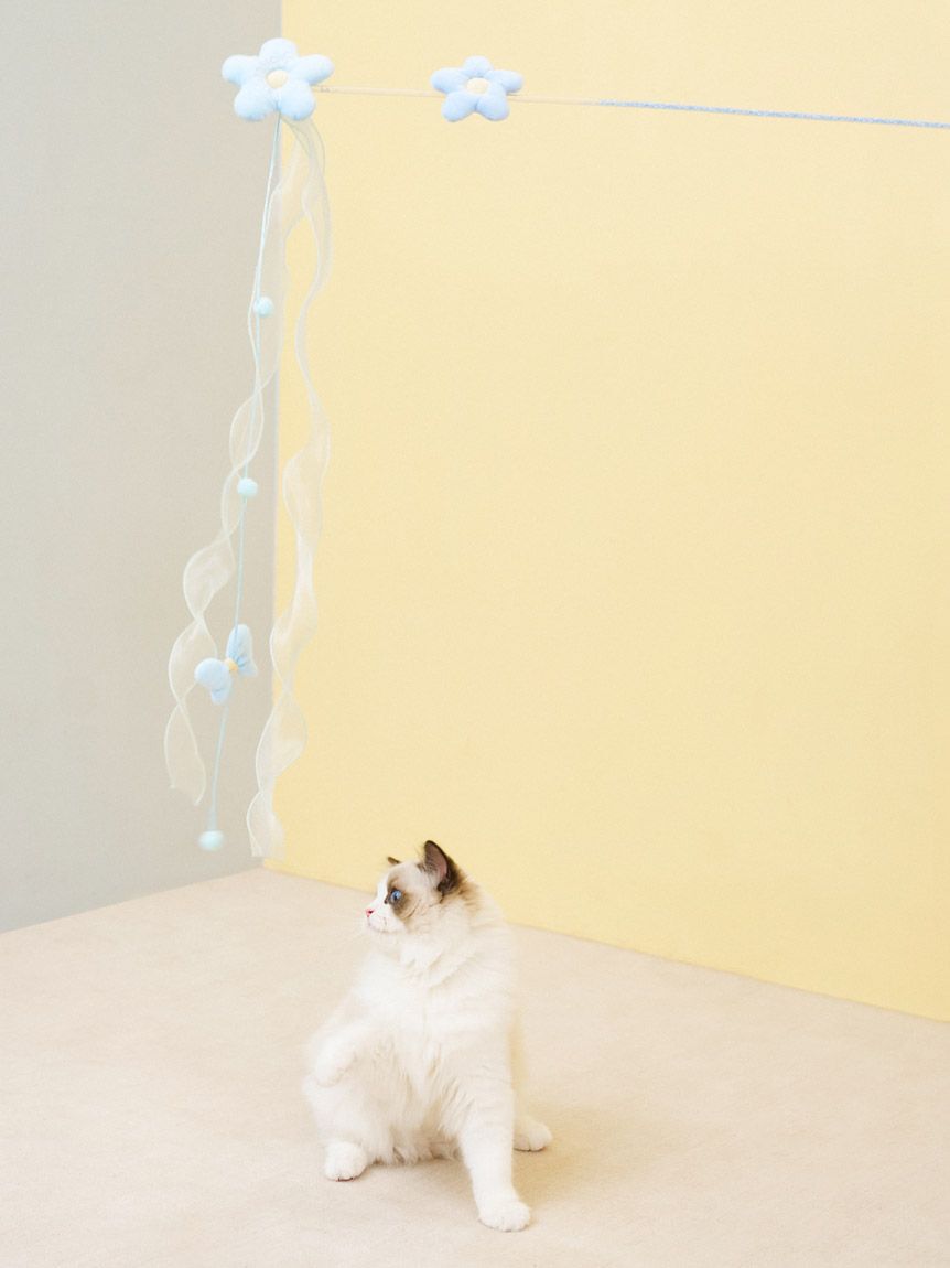  GELATO PIQUE CAT&DOG「【CAT&DOG】フラワーモチーフねこじゃらし」|その他|