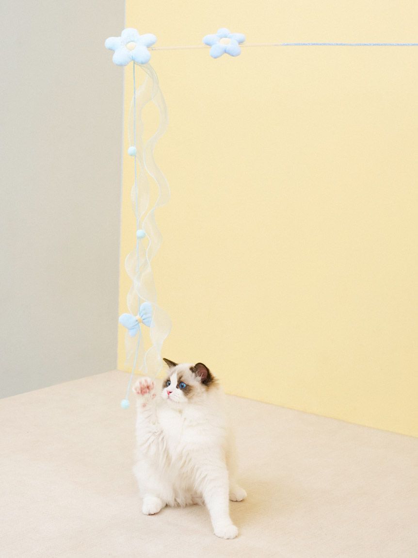  GELATO PIQUE CAT&DOG「【CAT&DOG】フラワーモチーフねこじゃらし」|その他|