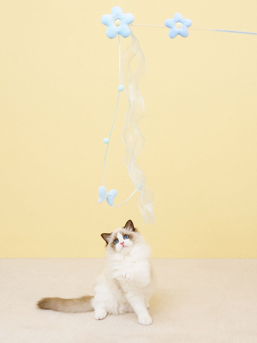  GELATO PIQUE CAT&DOG「【CAT&DOG】フラワーモチーフねこじゃらし」|その他|