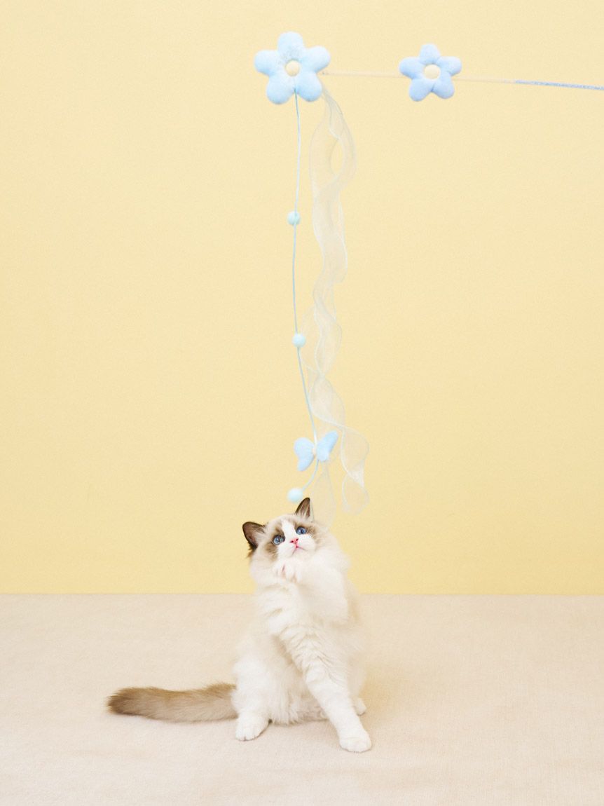  GELATO PIQUE CAT&DOG「【CAT&DOG】フラワーモチーフねこじゃらし」|その他|