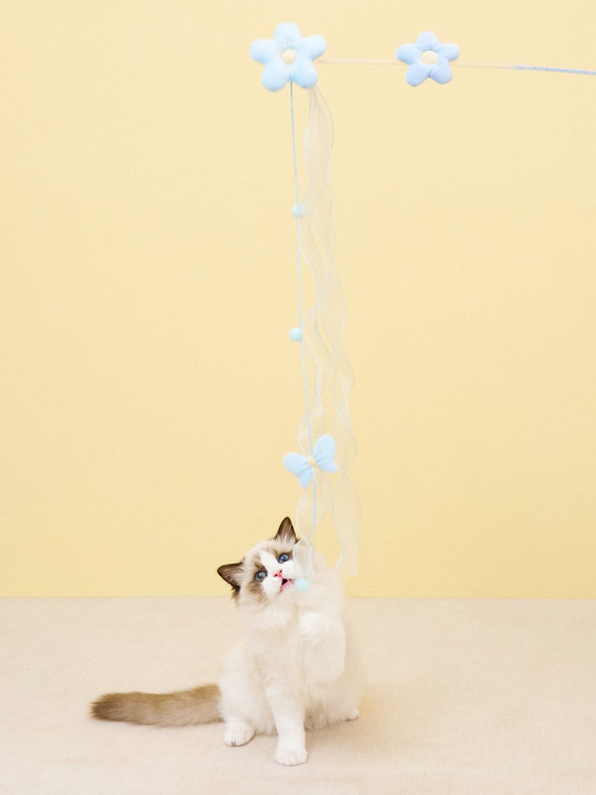  GELATO PIQUE CAT&DOG「【CAT&DOG】フラワーモチーフねこじゃらし」|その他|