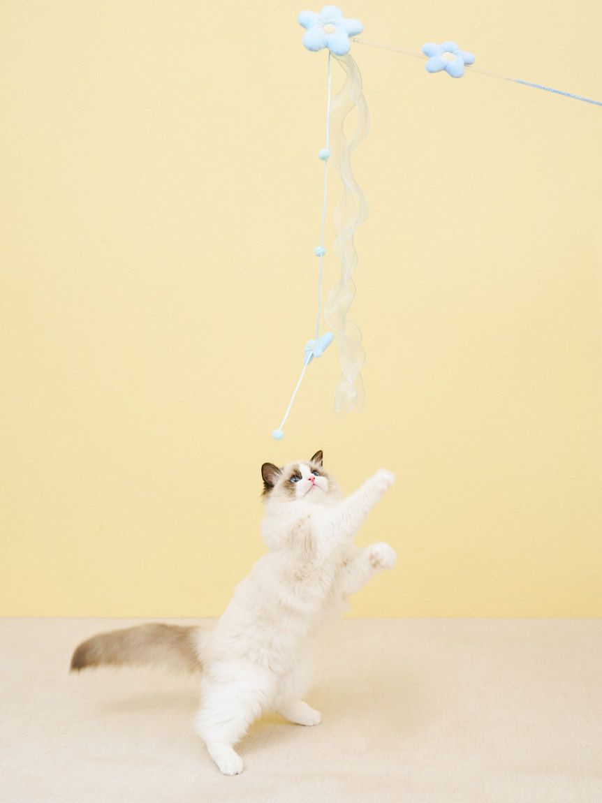  GELATO PIQUE CAT&DOG「【CAT&DOG】フラワーモチーフねこじゃらし」|その他|BLU