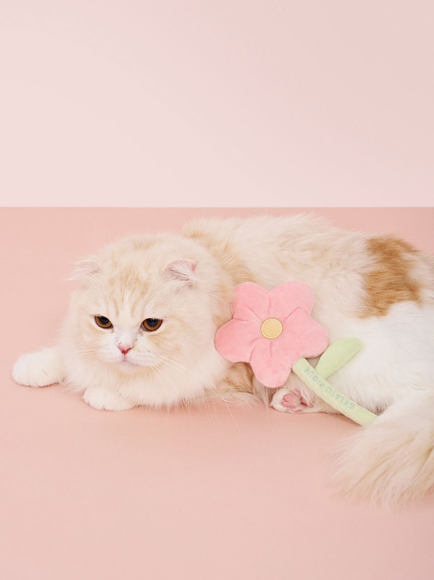  GELATO PIQUE CAT&DOG「【CAT&DOG】スプリングモチーフトイ」|その他|