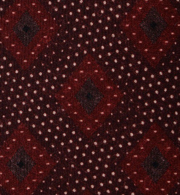 SHIPS「【SHIPS別注】Stefano Cau:ウール プリント ドット コモン ネクタイ」|ネクタイ・蝶ネクタイ|