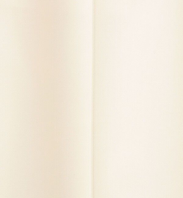 GALERIE VIE「ウォッシャブルギャバジン Iラインマキシスカート」|タイト|