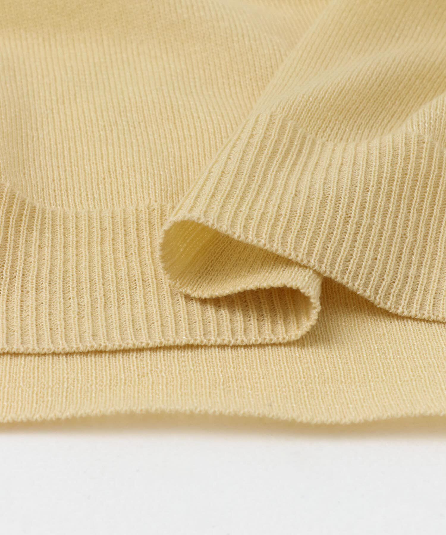 Sonny Label 「シアーラメニットTシャツ」|ニット・セーター|