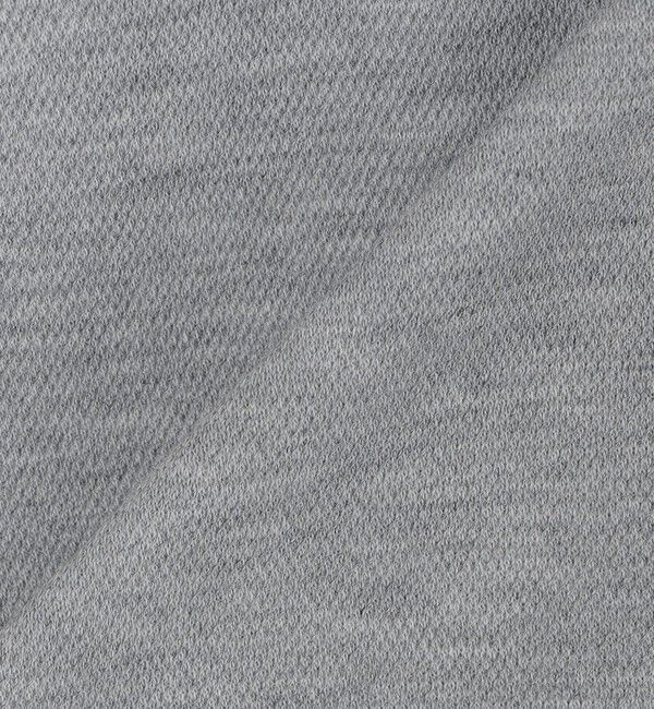 SHIPS「【WEB限定】SHIPS:〈抗菌防臭〉ワンポイントロゴ ハイゲージバーズアイ ダブルフェイス 長袖Tシャツ」|Tシャツ・カットソー|