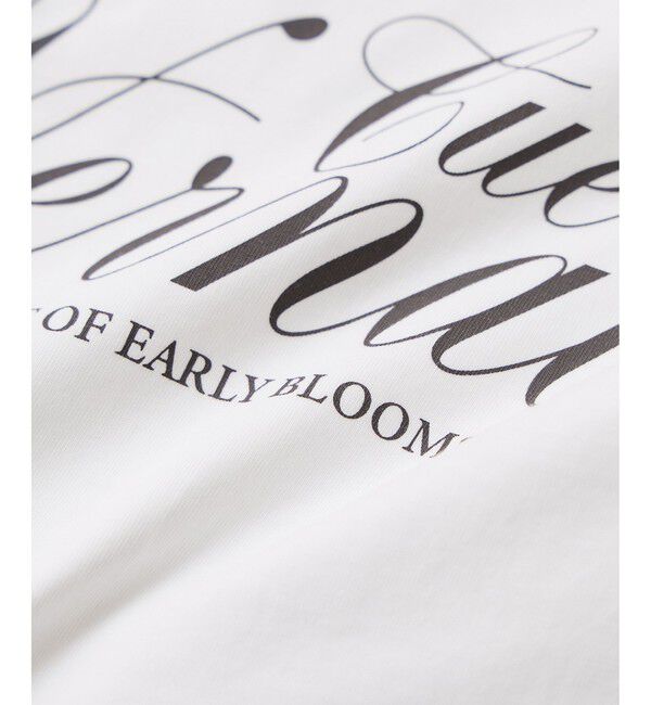 VIS「ロゴ＆フォトアソートプリントロンT」|Tシャツ・カットソー|