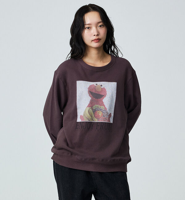 ABAHOUSE「【FRUIT OF THE LOOM】ロングスリーブ甘編み裏毛3/ELMO/ユニ」|スウェット・ジャージ|ブラウン