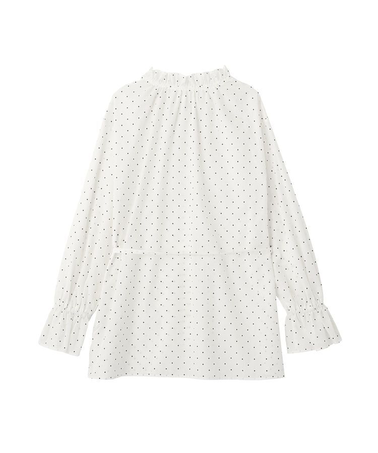 earth music&ecology「【接触冷感・イージーケア】TRキュプラダブルボタンフリルシャツ」|シャツ・ブラウス|