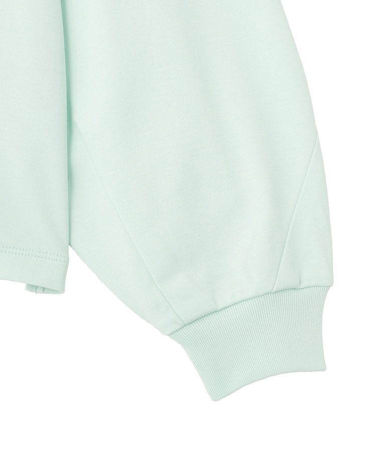 AMERICAN HOLIC「【WEB限定】袖ボリュームカットプルオーバー」|Tシャツ・カットソー|