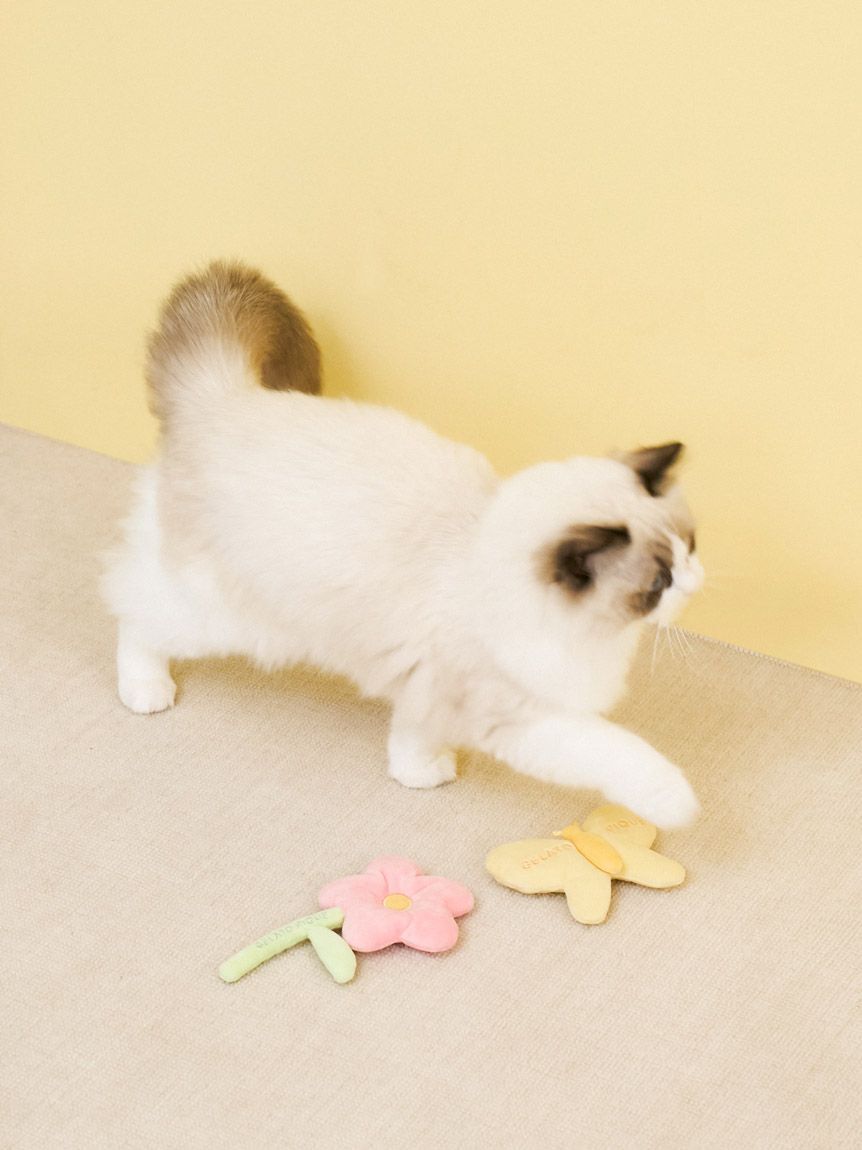  GELATO PIQUE CAT&DOG「【CAT&DOG】スプリングモチーフトイ」|その他|