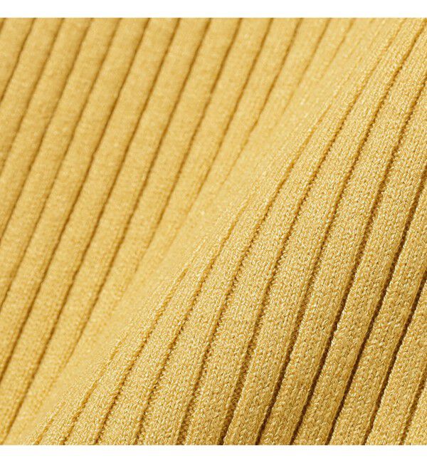 Ray BEAMS 「14ゲージ リブ タートル ネック ニット」|ニット・セーター|