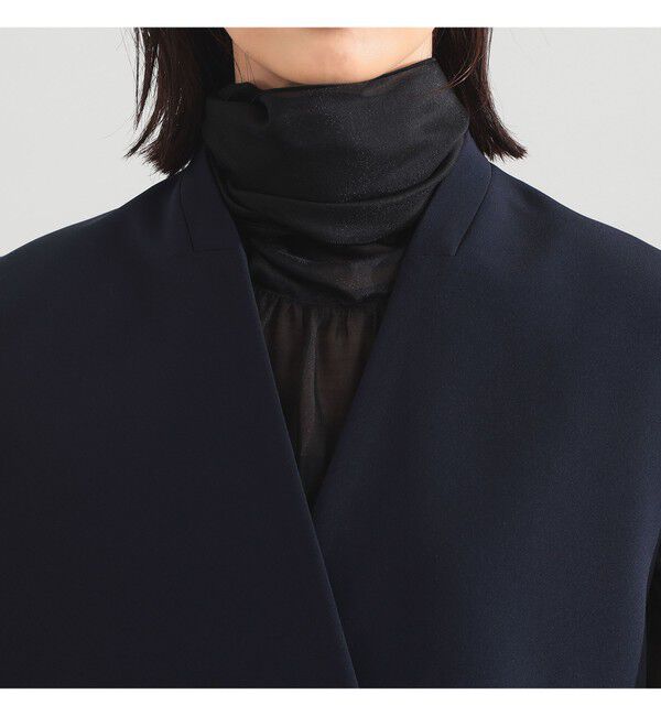 Demi-Luxe BEAMS 「	ラペルレス 2ボタン ジレ」|ダウン|