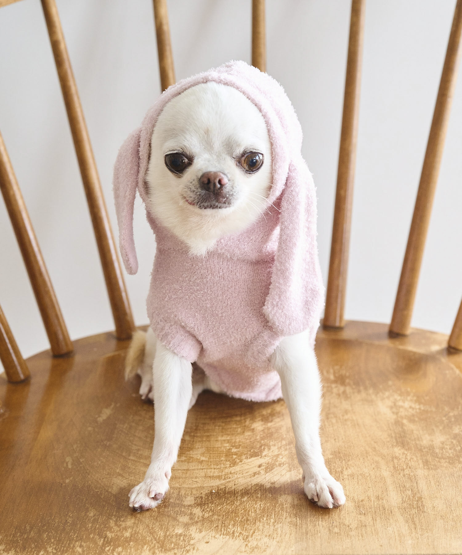 ROPE PICNIC PASSAGE「【DOG】ロップイヤーうさみみパーカー」|その他|