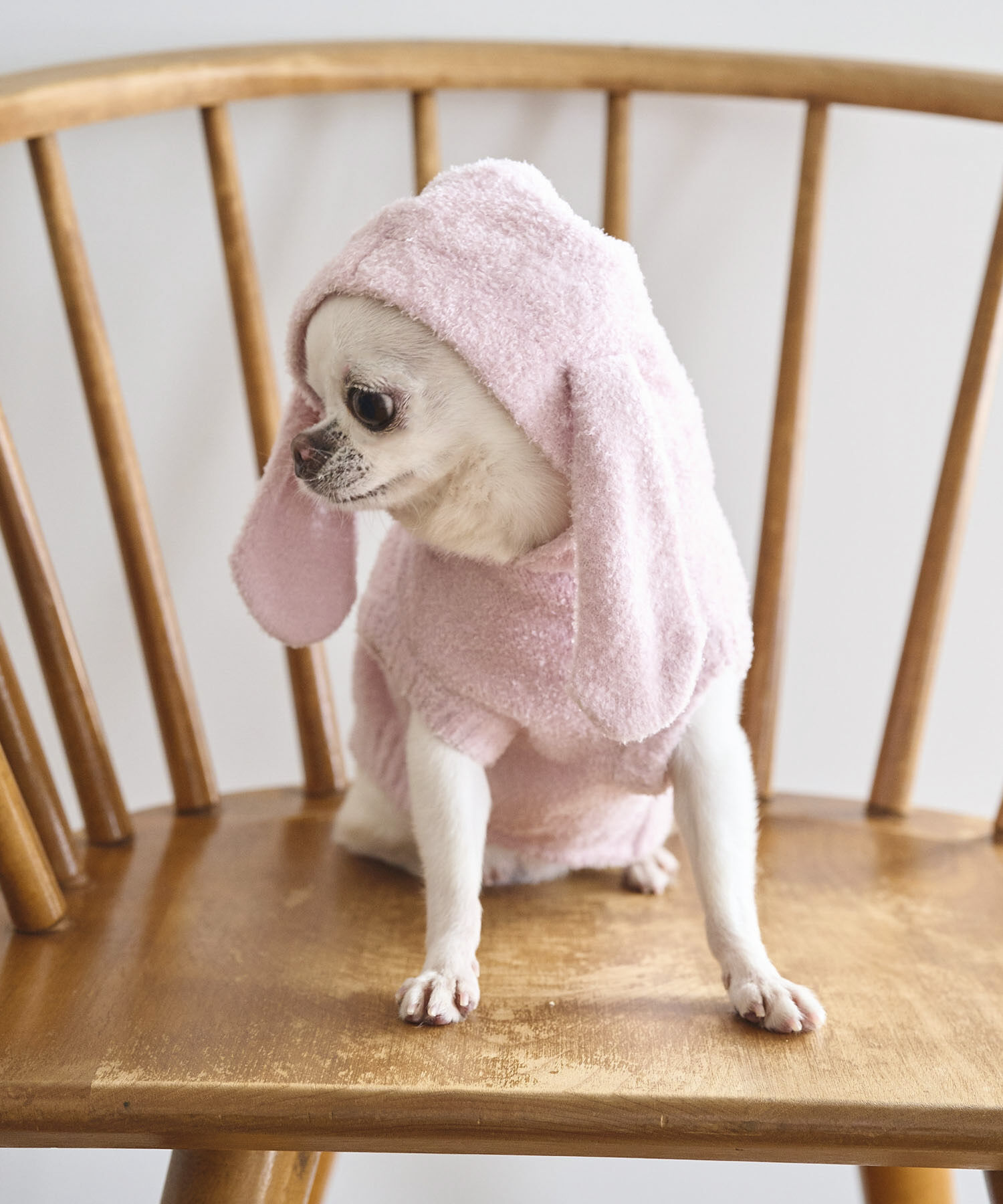 ROPE PICNIC PASSAGE「【DOG】ロップイヤーうさみみパーカー」|その他|