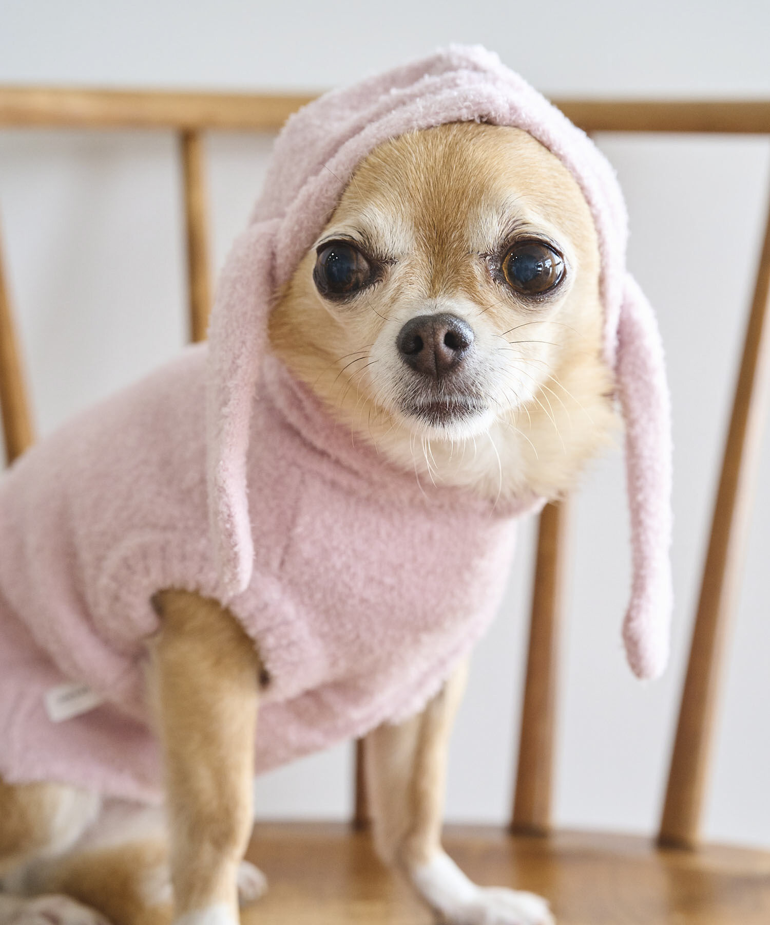 ROPE PICNIC PASSAGE「【DOG】ロップイヤーうさみみパーカー」|その他|