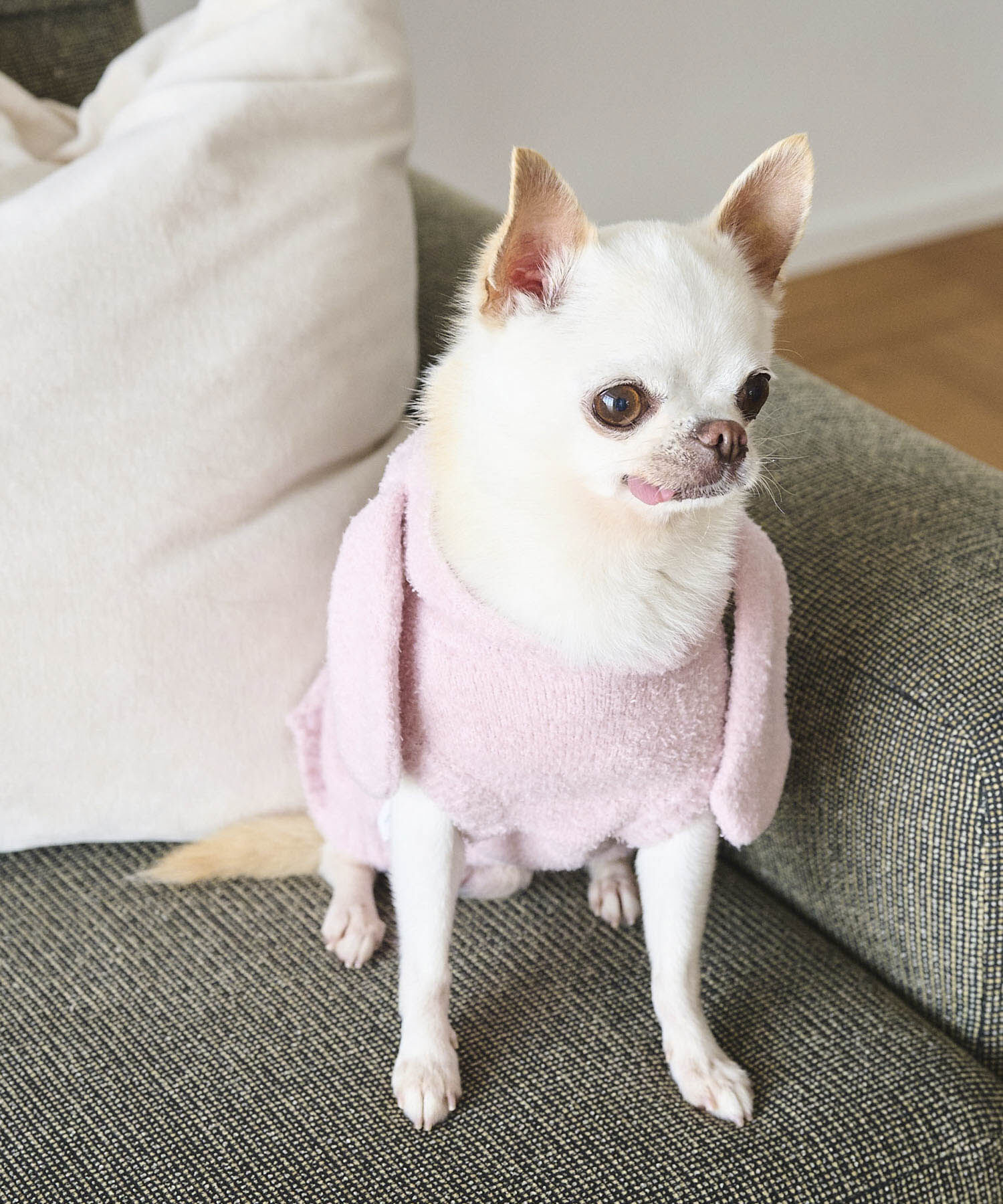 ROPE PICNIC PASSAGE「【DOG】ロップイヤーうさみみパーカー」|その他|