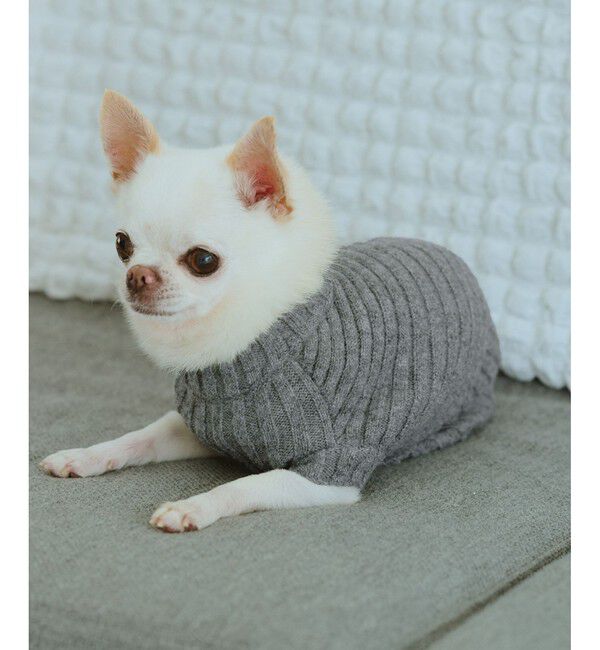 ROPE PICNIC PASSAGE「【DOG】リブ切り替えニット/リンクコーデ」|その他|