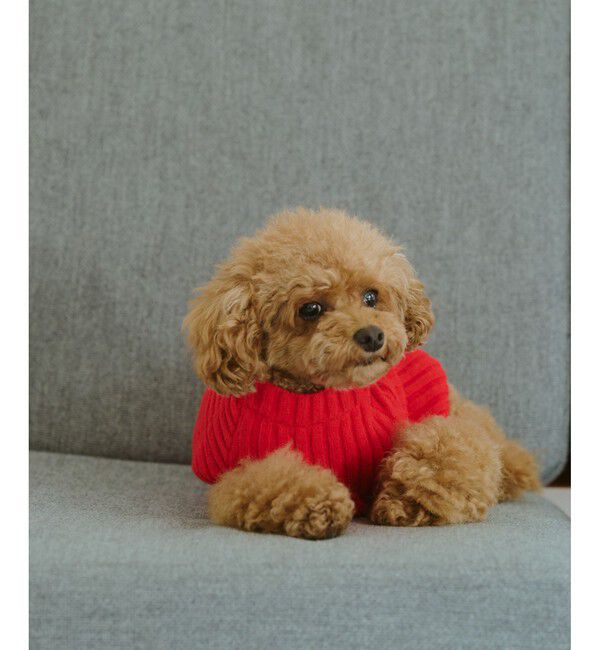 ROPE PICNIC PASSAGE「【DOG】リブ切り替えニット/リンクコーデ」|その他|