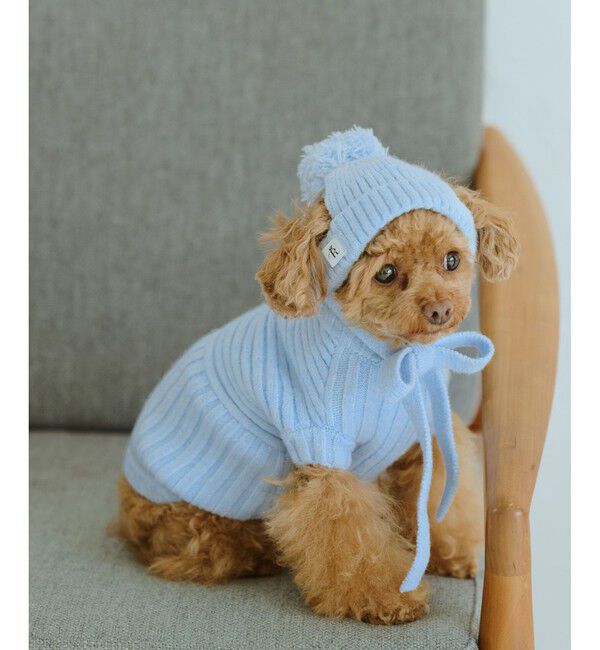 ROPE PICNIC PASSAGE「【DOG】リブ切り替えニット/リンクコーデ」|その他|