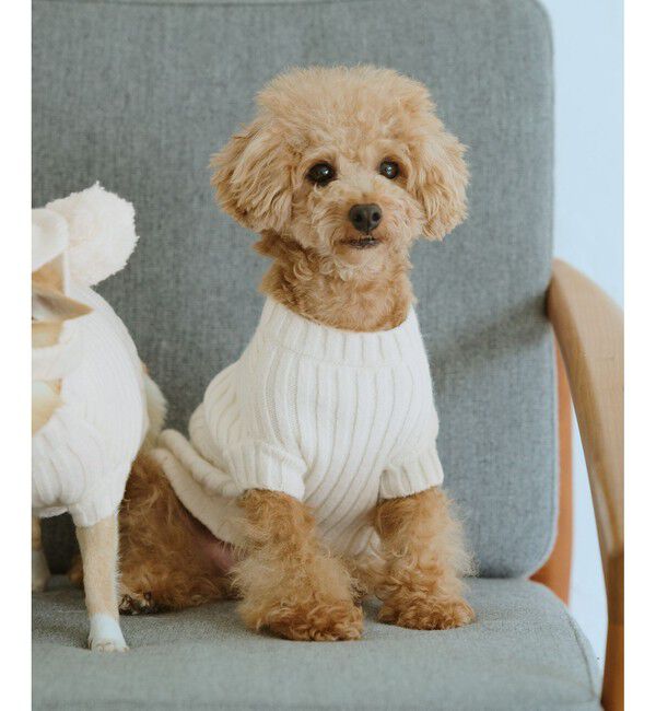 ROPE PICNIC PASSAGE「【DOG】リブ切り替えニット/リンクコーデ」|その他|オフホワイト(15)