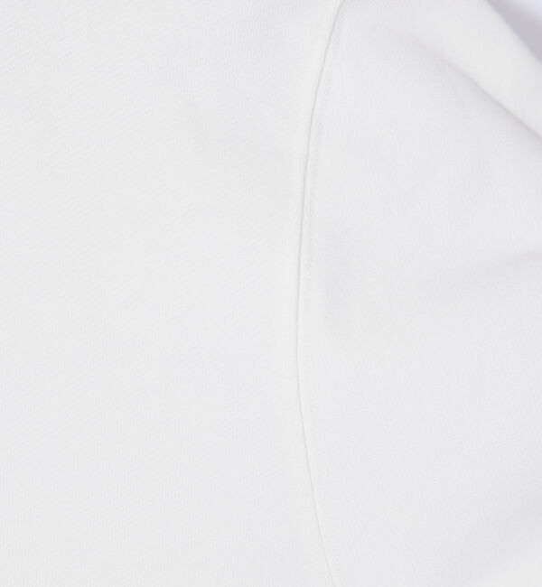 ABAHOUSE「【FRUIT OF THE LOOM/フルーツオブザルーム】FTL フルーツロゴ」|パーカー|