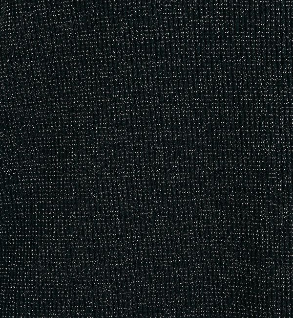 qualite「【大人ラメ&times;スリット】ラメテレコTシャツ【予約】」|Tシャツ・カットソー|