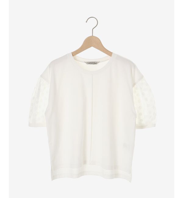  「TORRAZZO DONNAドット切替カットソー」|Tシャツ・カットソー|