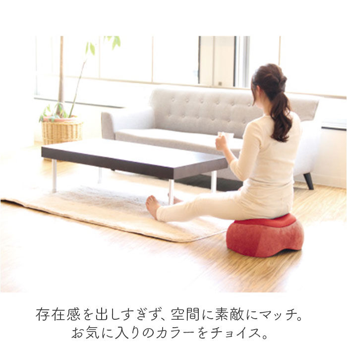 BACKYARD FAMILY「踏み台昇降 通販 トランポリンクッション エクササイズ フィットネス トランポリン クッション」|その他|