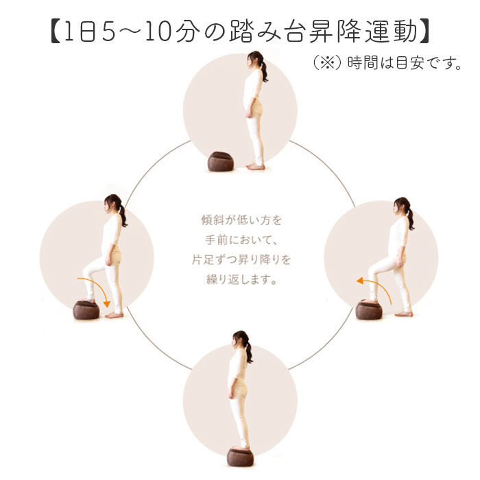 BACKYARD FAMILY「踏み台昇降 通販 トランポリンクッション エクササイズ フィットネス トランポリン クッション」|その他|