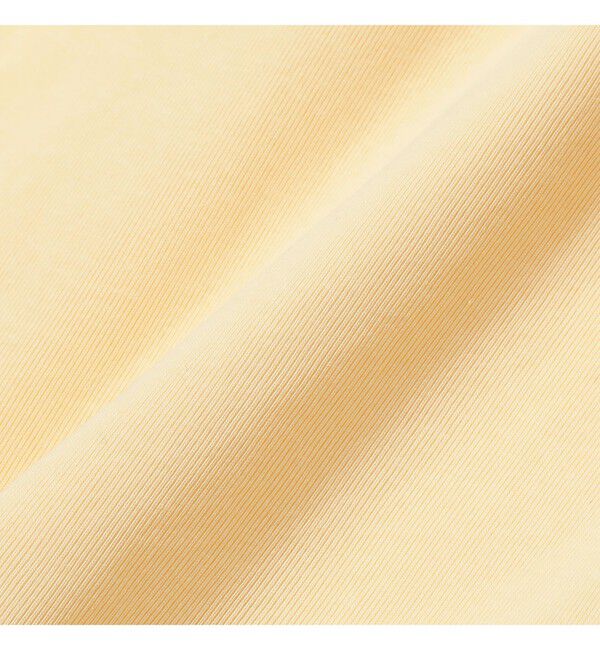 Ray BEAMS 「【別注】PICCADILLY / POLO」|ポロシャツ|