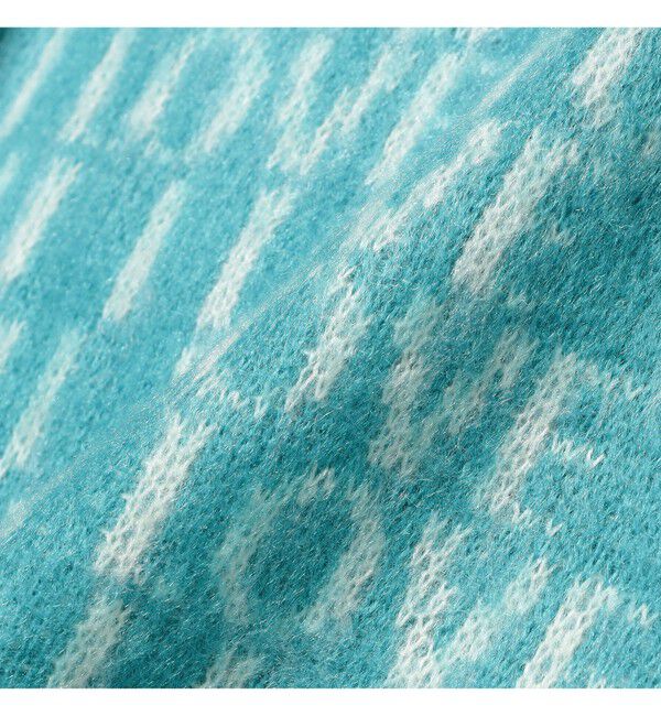 Ray BEAMS 「【別注】PENNEY&rsquo;S / シャギー ニット」|ニット・セーター|