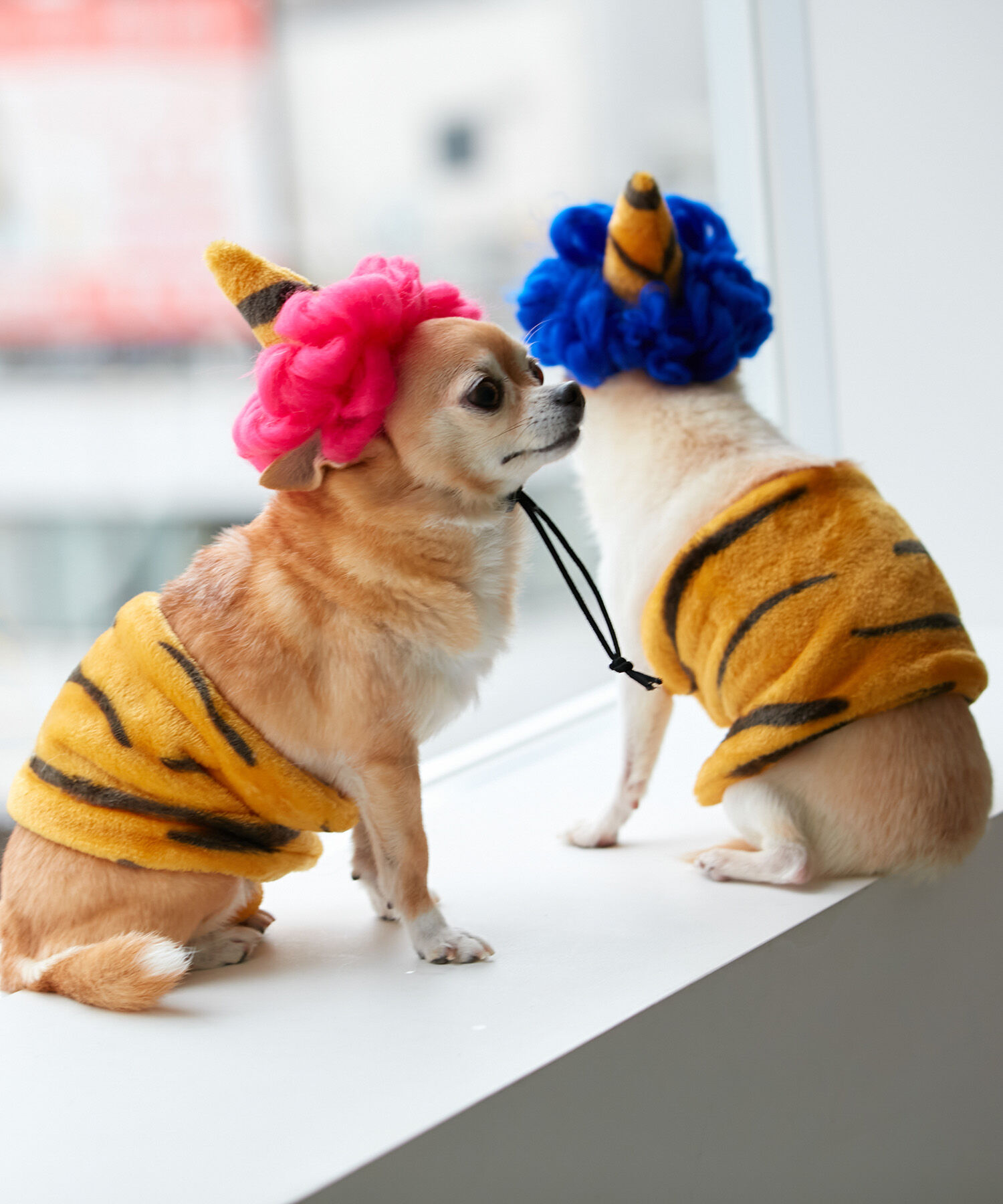 ROPE PICNIC PASSAGE「【DOG】小鬼コスチューム 節分」|その他|