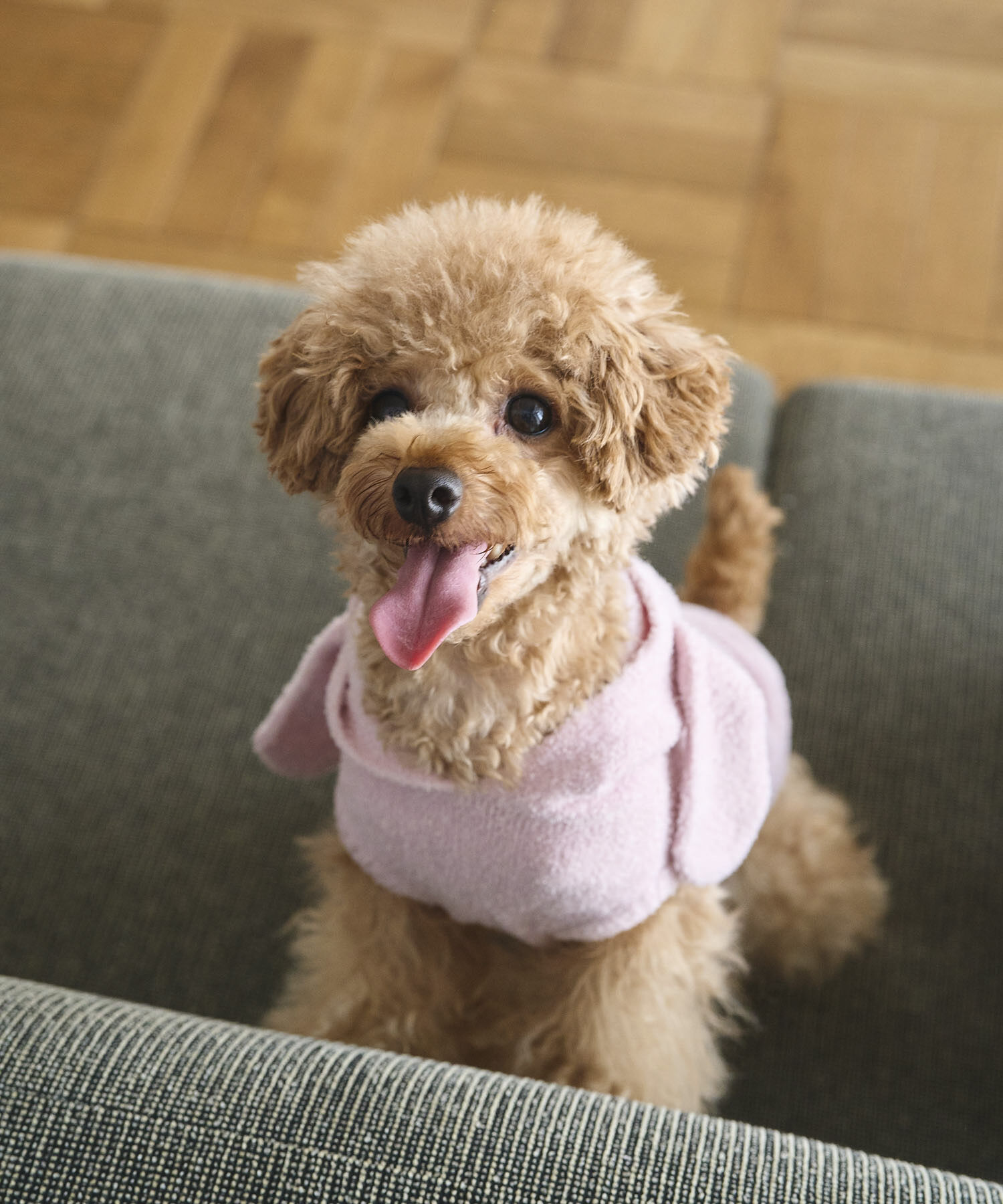 ROPE PICNIC PASSAGE「【DOG】ロップイヤーうさみみパーカー」|その他|