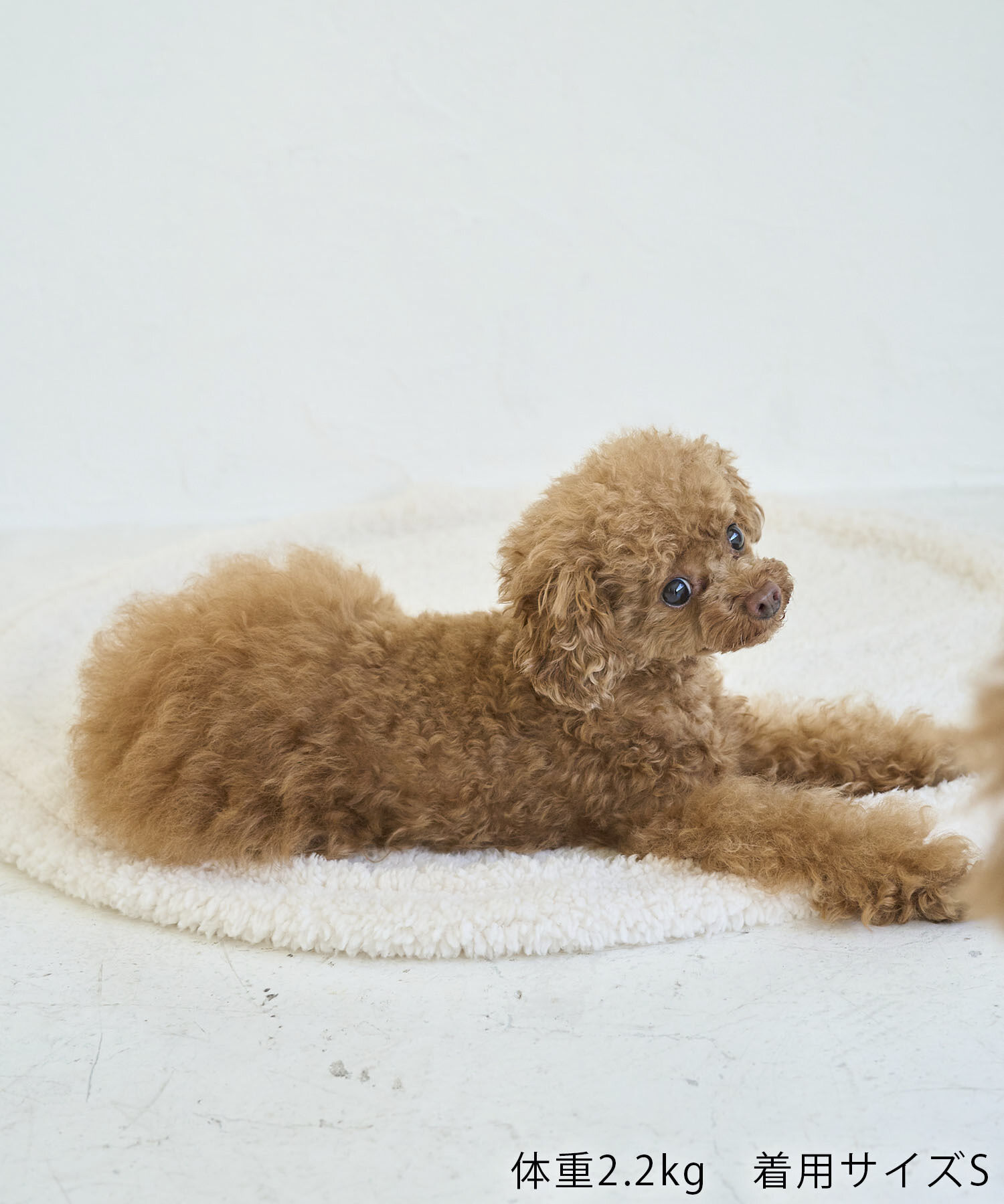 ROPE PICNIC PASSAGE「【DOG】ロップイヤーうさみみパーカー」|その他|