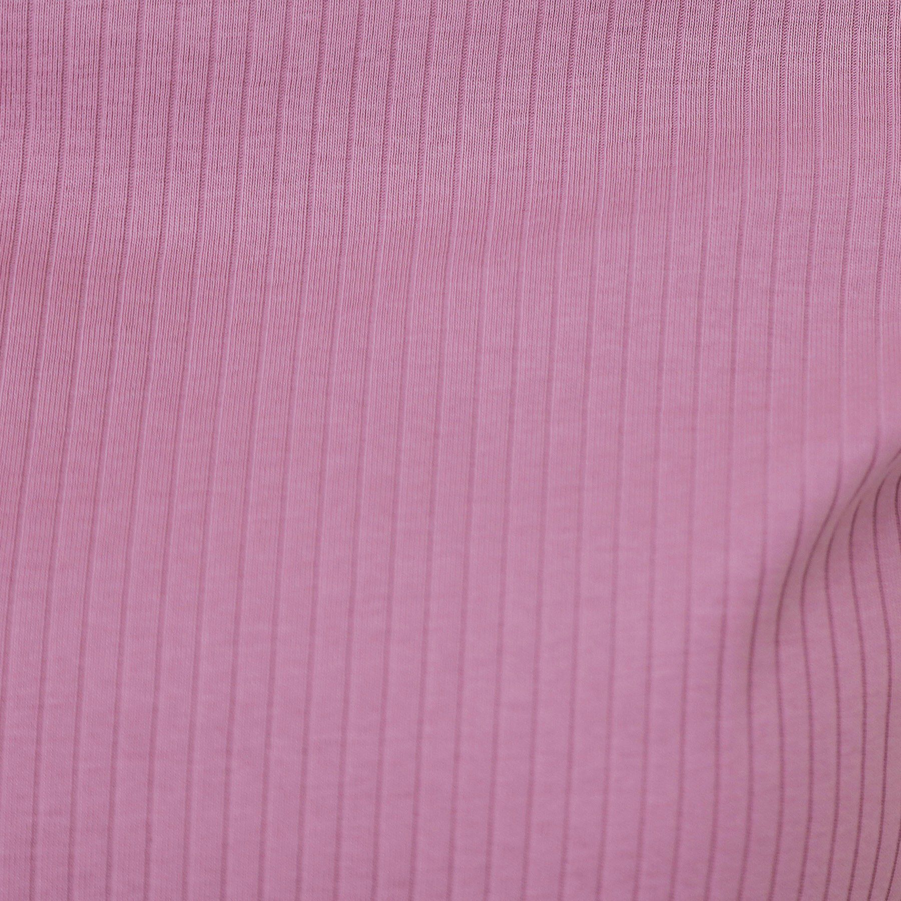 index「《7色展開/XS-LLサイズ》ボートネックリブトップス【UV/洗濯機洗い可】」|Tシャツ・カットソー|