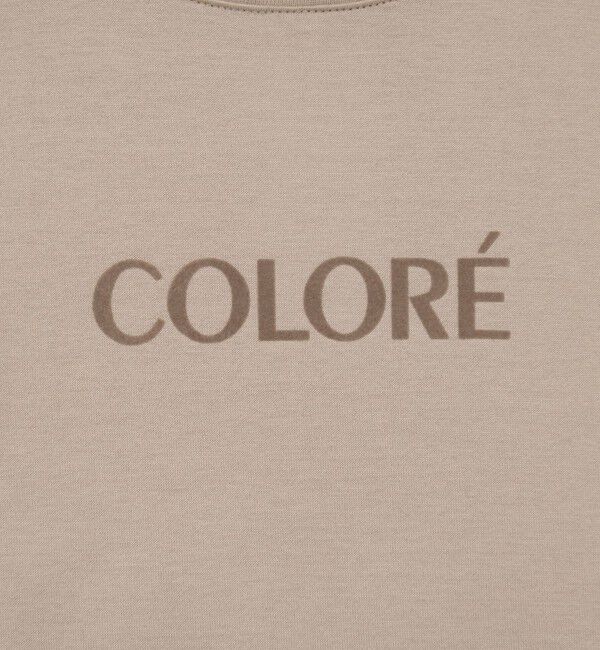 NOLLEY'S sophi「シルケット天竺フロッキーロゴTシャツ」|Tシャツ・カットソー|