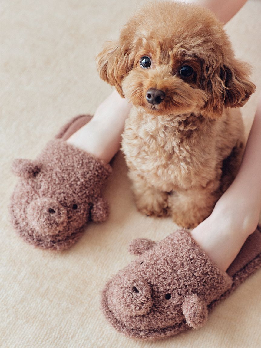 gelato pique「ドッグルームシューズ」|ルームシューズ|