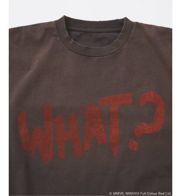 JOURNAL STANDARD「BRANDALISED ロングスリーブ Tシャツ」|Tシャツ・カットソー|