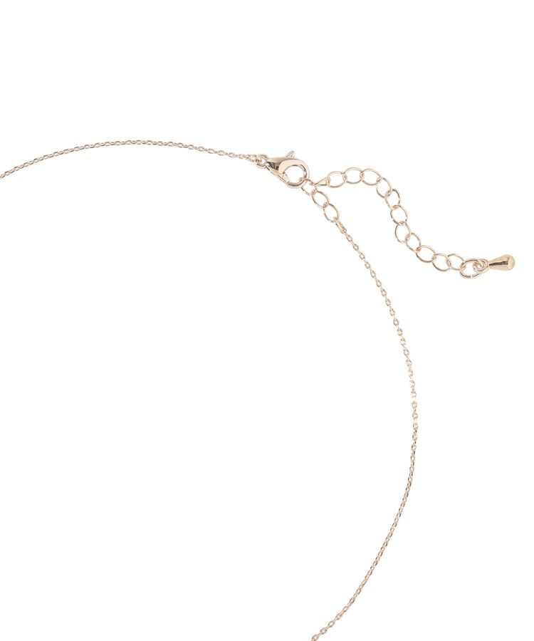 earth music&ecology「プチネックレス」|ネックレス|