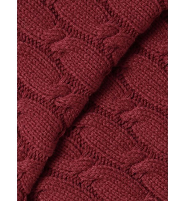 EVRIS「ケーブルSUNNYハーフジップニットトップス」|ニット・セーター|