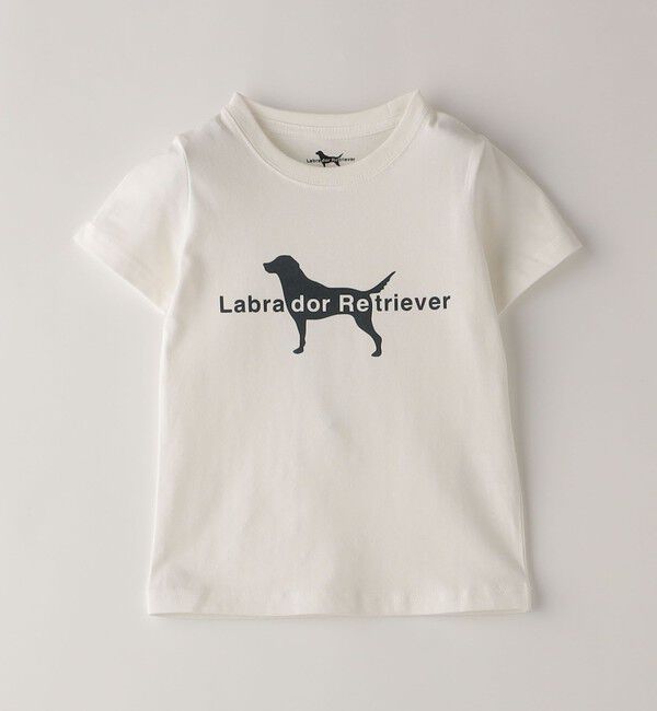 SHIPS Colors 「SHIPS Colors: Labrador Retriever コラボTシャツ(80~130cm)」|Tシャツ・カットソー|ライトホワイト