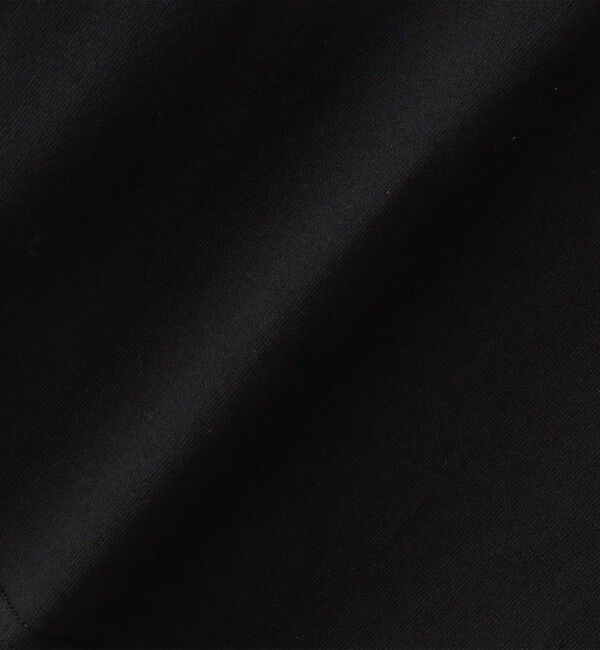 SHIPS Colors 「SHIPS Colors: Labrador Retriever コラボTシャツ(80~130cm)」|Tシャツ・カットソー|