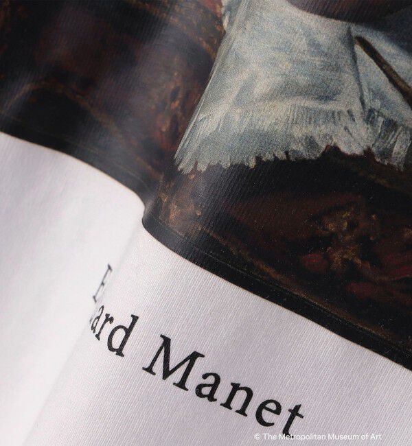 SHIPS Colors 「SHIPS Colors:The Met コラボ マネ アート Ｔシャツ」|Tシャツ・カットソー|