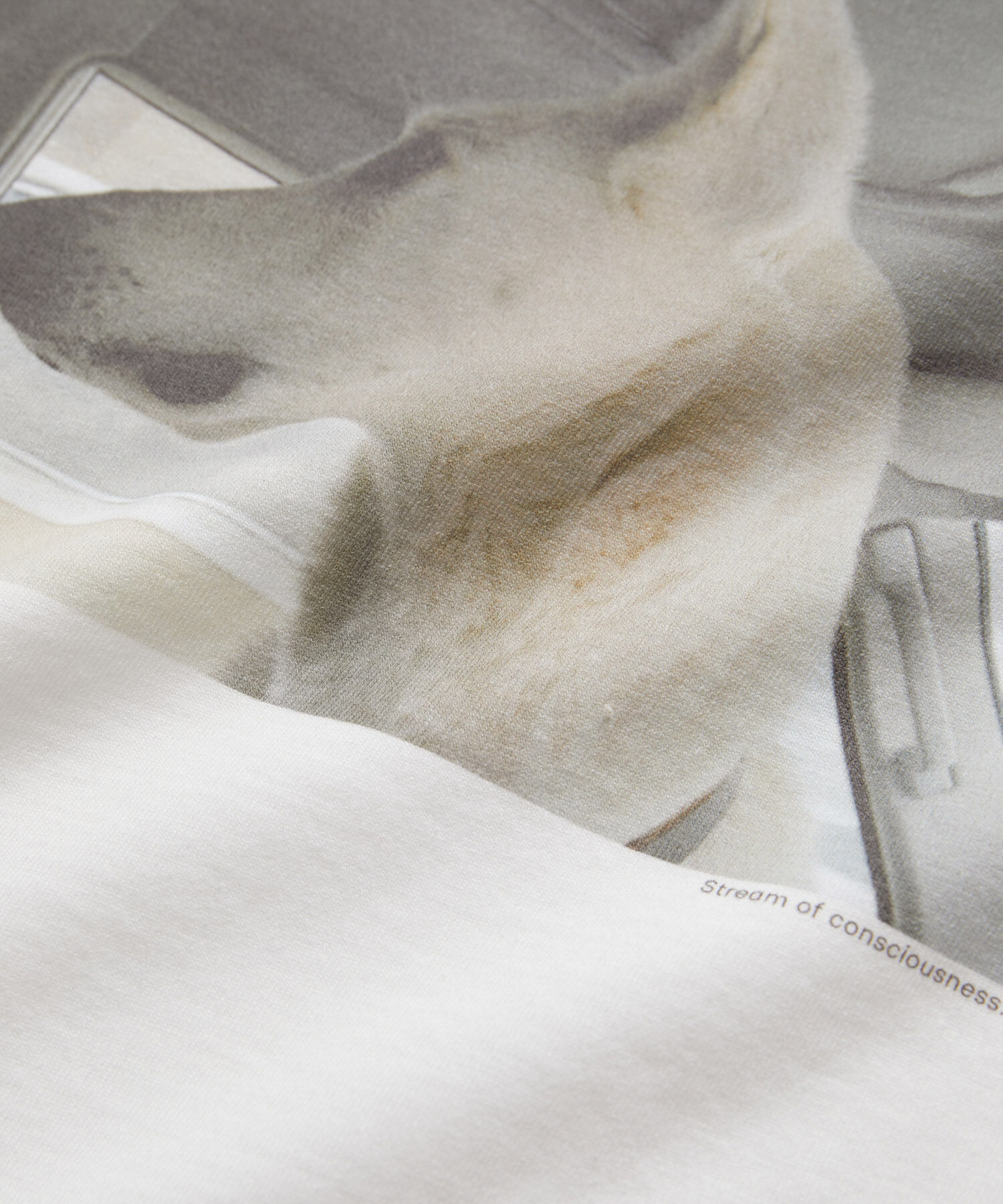 SALON adam et rope'「【Alec Soth（アレック・ソス）】[24SS]フォトTシャツ」|Tシャツ・カットソー|