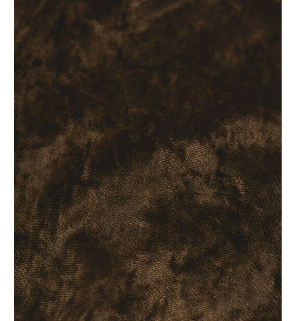 ADAM ET ROPE'「クラッシュベロアTシャツ」|Tシャツ・カットソー|