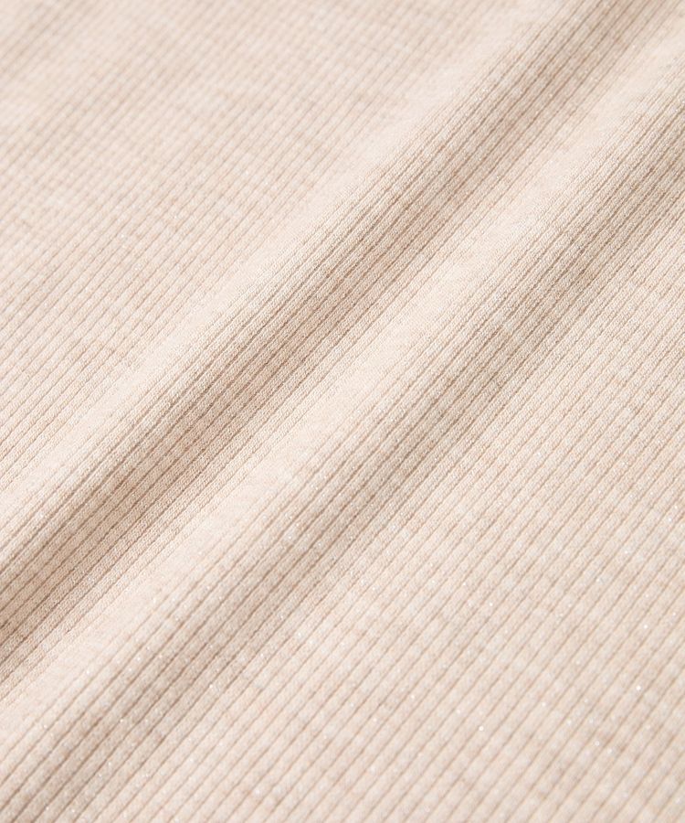 earth music&ecology「ラメテレコハイネックプルオーバー」|Tシャツ・カットソー|