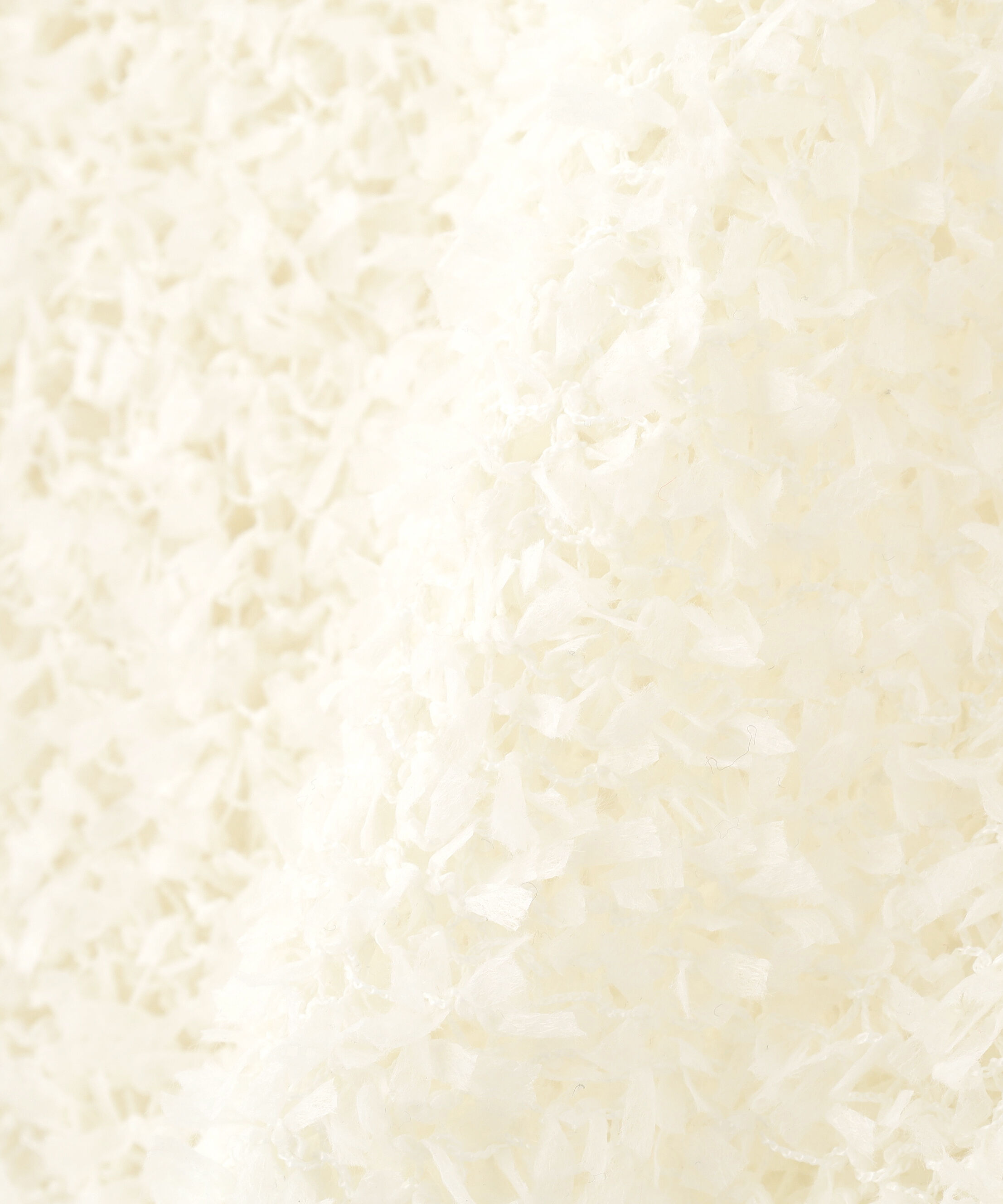  「チョウチョヤーン半袖ニット」|ニット・セーター|